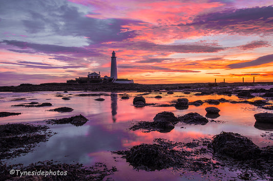 A3 print epic sunrise st marys lighthouse